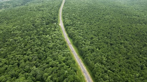 Aerial Top Down View of Car Driving on Country Road in Forest in the Evening at Twilight Cinematic