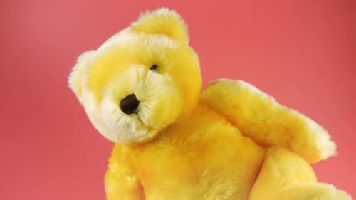 Yellow Teddy Bear Rotates in Front of Red Background