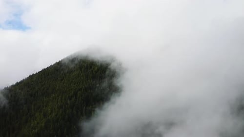Olympic Peninsula Forest Mountain Covered With Low Clouds During Sunrise In Washington States, USA.