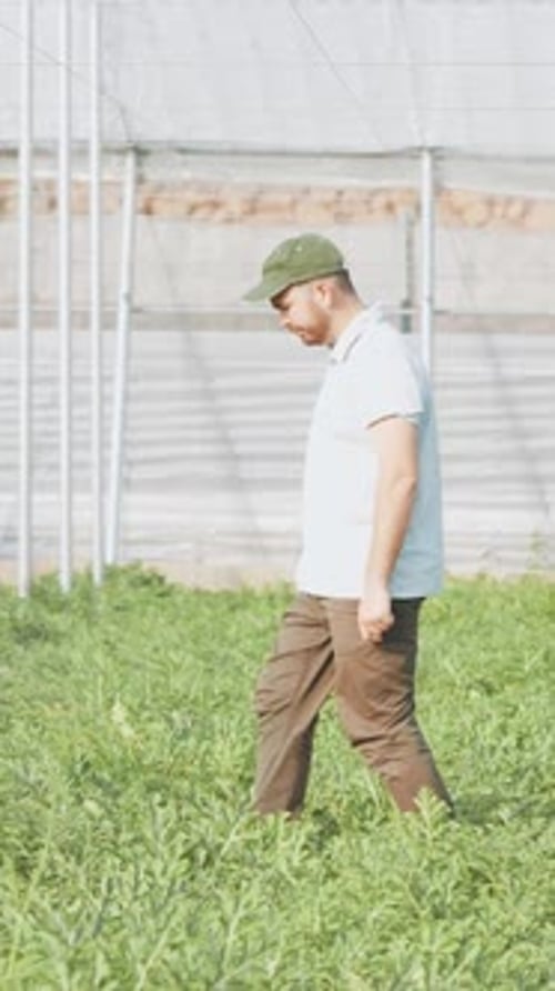Farmer Walking in Rows of Crops in Greenhouse