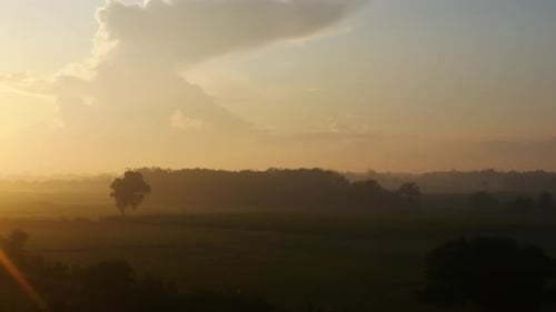 amanecer en el bosque tropical