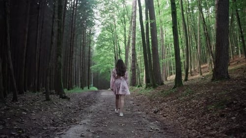 Girl In Dress Walking Through The Forest With Towering Trees. - rear shot, dolly