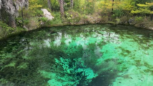 Stationäre Aufnahme von oben, kristallklarem Wasser von Pitt Springs im Panhandle im Nordwesten Florids