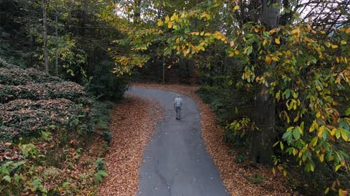 Man Walking In Autumn Forest
