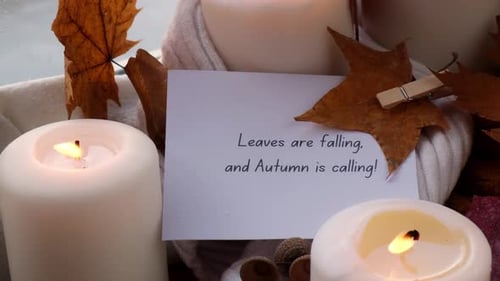LEAVES ARE FALLING AND AUTUMN IS CALLING Text Greeting Card Concept Celebrating Autumn Holidays at