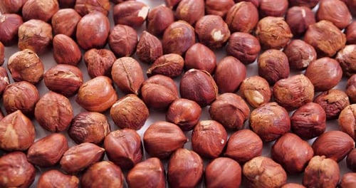 Close-up of Brown Shelled Hazelnuts