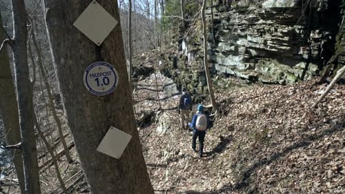 Hikers walk past tree with mile marker sign by trail in forest, 4K