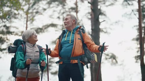 Senior Hikers Hike on Nature Autumn Park Holding Nordic Sticks Talking Discussing Route Tourists