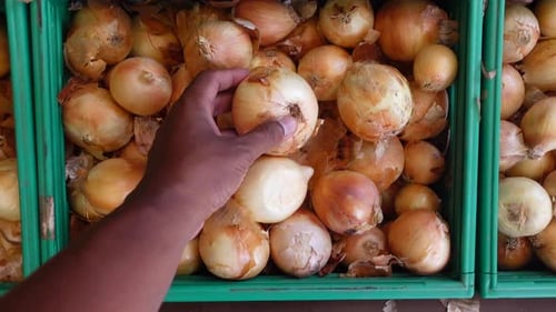 Exploring Fresh Produce at the Local Market in Daytime