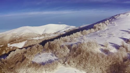 High Snowy Mountain Covered with Evergreen Fir Trees on a Sunny Cold Day