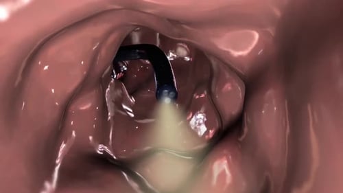 Human digestive system with glowing intestines