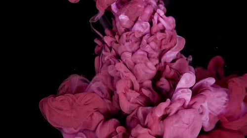 Serene Color Dance Pink and White Acrylic Paint Creating Beautiful Blooms in Water