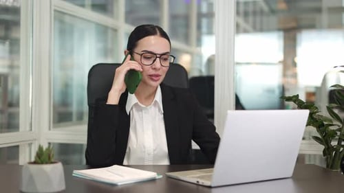 Positive Business Lady Talking on Phone and Looking at Screen Computer in Office