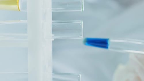 Gloved Hand Taking Test Tube in Laboratory