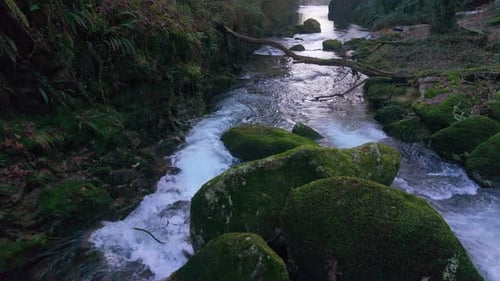 San Crimenzo River Flowing Through Mossy Forest In A Coruña, Spain. - aerial pullback shot