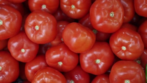 Verkauf frischer Tomaten im örtlichen Geschäft