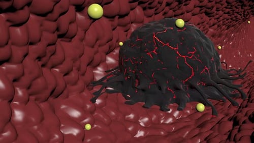 3D Animation of Pathogen Cell Moving in Body Vessel