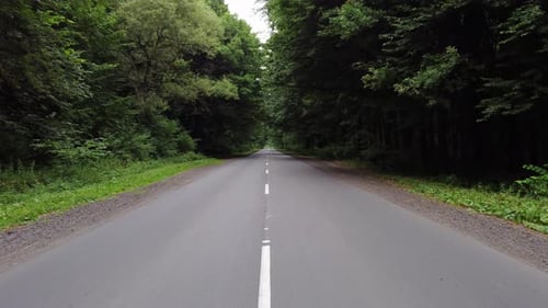 Beautiful road through the forest. Camera movement by the asphalt road between bright green trees on