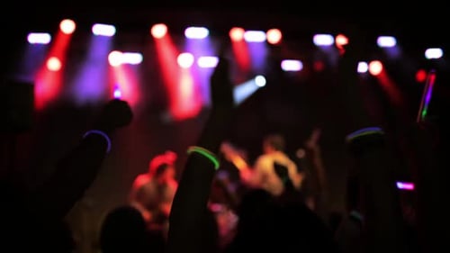 Energetic Crowd at Live Music Concert at Night