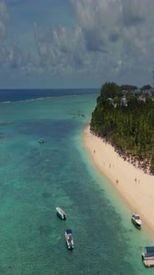 Close Up Fly Over Palm Trees and Beautiful Beach Lagoon Paradise Island in Mauritius Landscape View