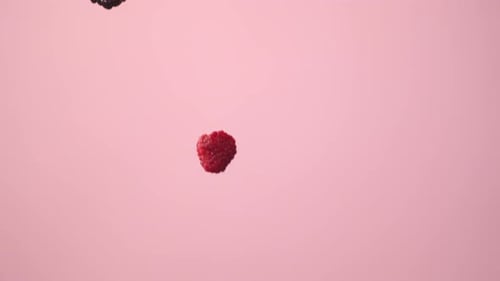 Raspberry and Blackberry Falling in Slow Motion
