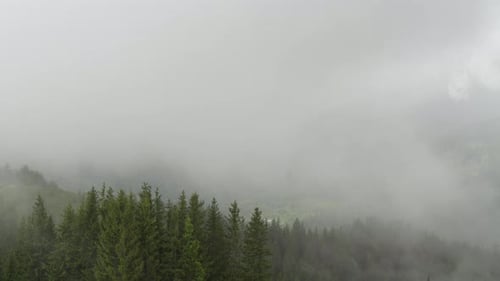 Rainy Weather in Mountains Clouds Blowing Over Pine Tree Forest in Time Lapse