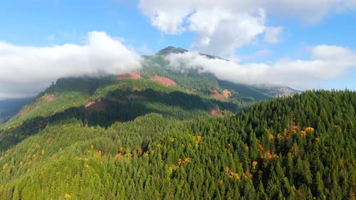 Aerial View of Colourful Forest on Mountain Slopes and Cloudy Sky Canada