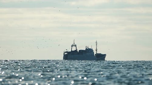 Fishing Boat Trawler Catches Fish While Sailing on Sea A Commercial Fishing Boat on the Horizon in a