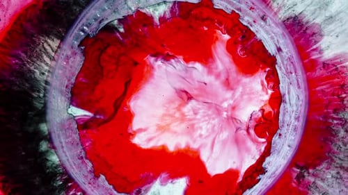 shot of vivid red and white fluids reacting and swirling in a chaotic burst