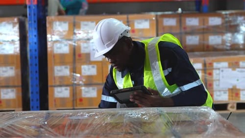 Warehouse workers checking the inventory.