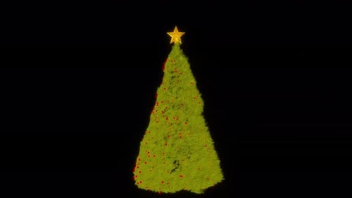 Christmas Tree Rotate Looped Video