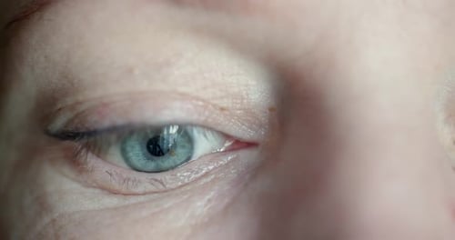 Close Up Macro Shallow Depth of Field Shot of Human Female Eye