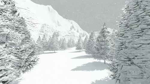 Winter Forest