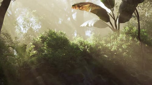 Lush Tropical Jungle with Sun Rays Filtering Through Dense Foliage at Dawn