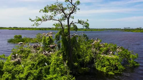 Kumana National Park with Lake and Birds