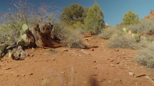 Blick aus der ersten Person: Spaziergang entlang eines Wanderweges in Sedona, Arizona, an einem sonnigen Tag