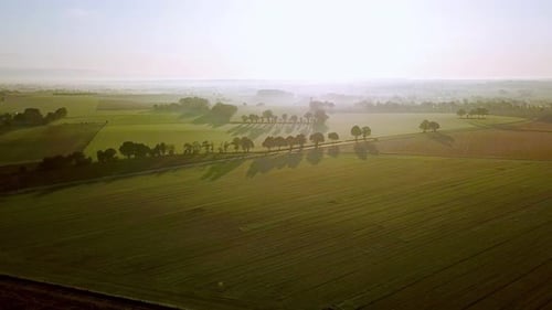 Aerial Drone View. Beautiful Nature, Wide View on Rural Countryside Landscape, Corn Fields, and Road