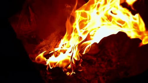 Bright Flames Burning in the Dark