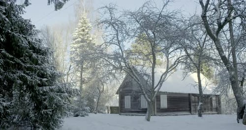 Wide shot of an abandoned log cabin covered in snow on a sunny winter day.