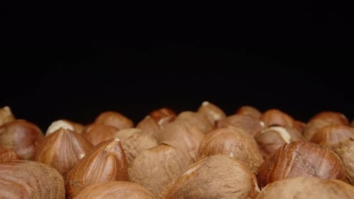 Pile of Hazelnuts Against a Black Background