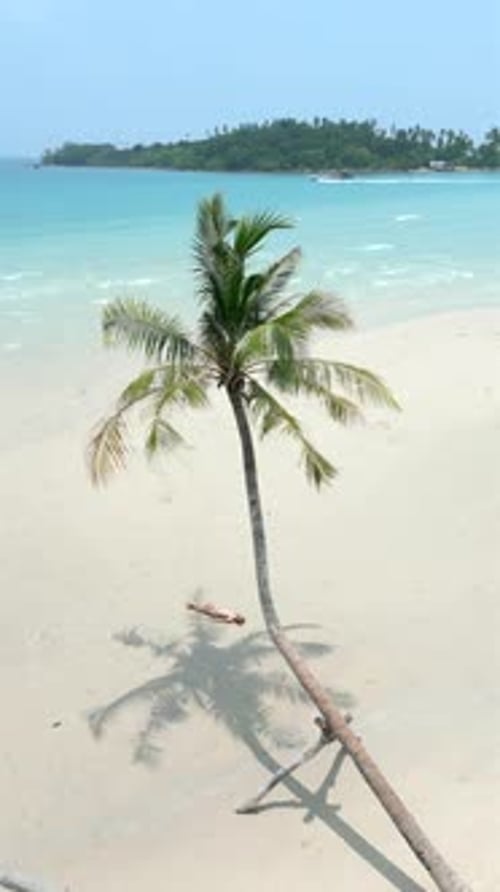 An Idyllic Island Retreat A Young Woman Relaxing Under a Palm Tree