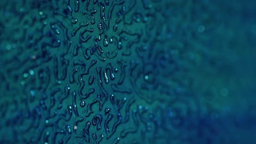 Shiny Abstract Design Close Up