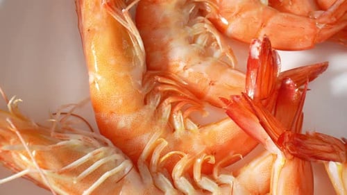A cooked shrimp with shell in video footage. 4K.