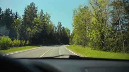 Take a Scenic Drive Through Stunningly Lush Green Forest Roads Captured Beautifully in Stunning