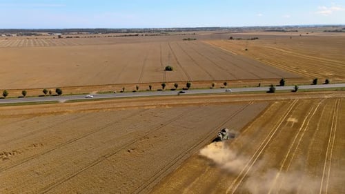 The combine harvester mows the crop close to the road, the dust is raised from behind the machine in