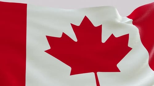 Proud Canadian Flag Waving in Realistic Seamless Loop
