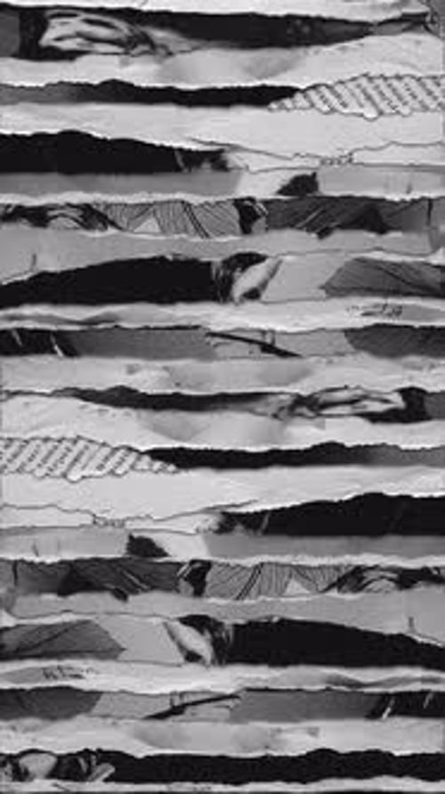 B&W Vertical Right-Left Transition