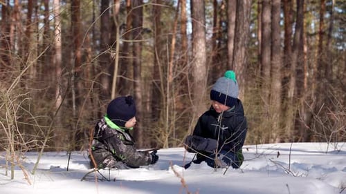 Two brothers in warm clothes play in the snow in a winter forest together