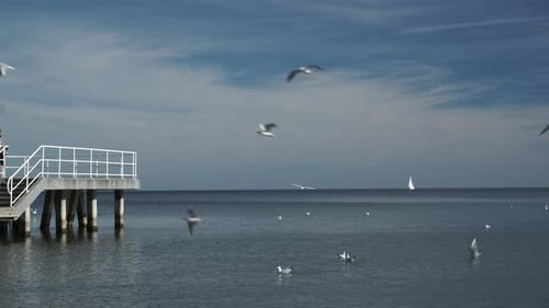 Man on Pier, Sea Landscape