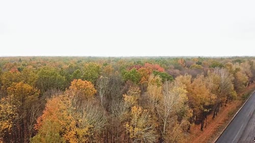 Forest view from above. Autumn forest aerial drone view